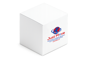 Carton Box (Smallest Just Move Box)